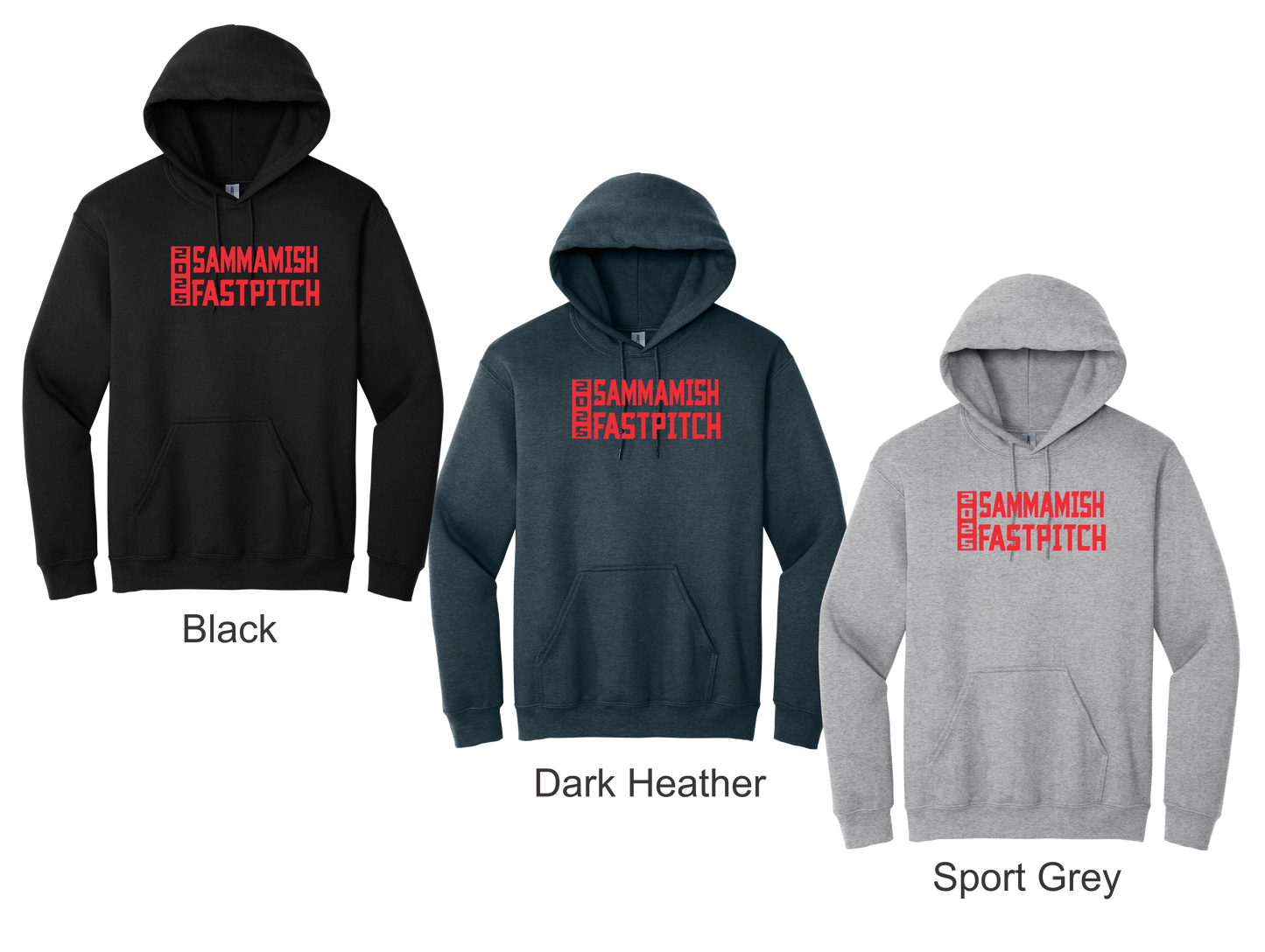 Hoodie - 2025 Design
